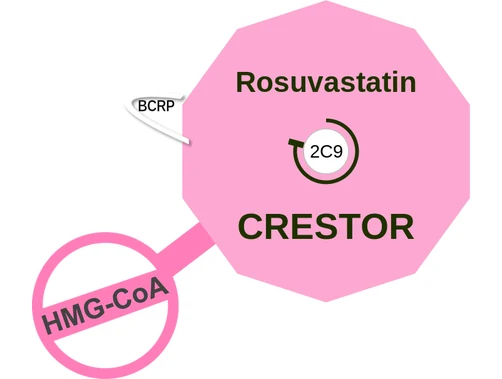 Rosuvastatin ballicule — decagon mechanism diagram