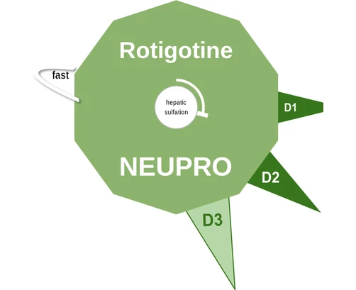 Rotigotine ballicule — decagon mechanism diagram
