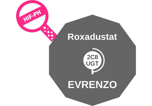 Roxadustat ballicule: receptor binding, kinetics and half-life diagram