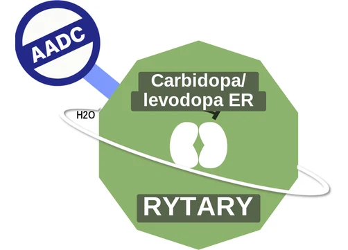 Carbidopa/ levodopa ER ballicule: receptor binding, kinetics and half-life diagram