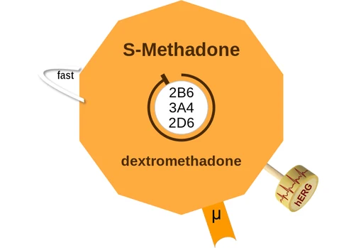 S-Methadone ballicule: receptor binding, kinetics and half-life diagram