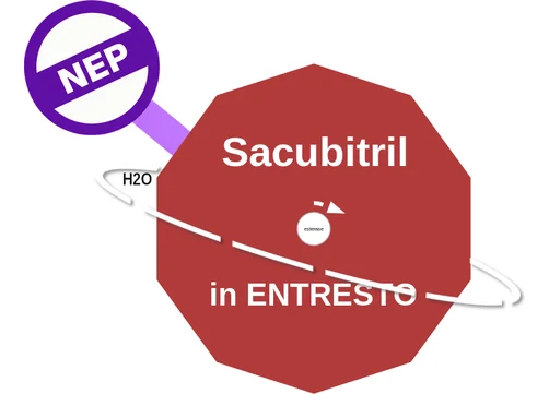 Sacubitril ballicule — decagon mechanism diagram