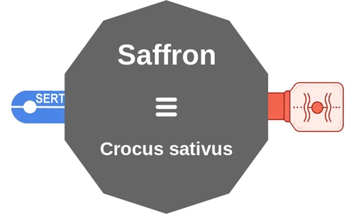 Saffron ballicule: receptor binding, kinetics and half-life diagram