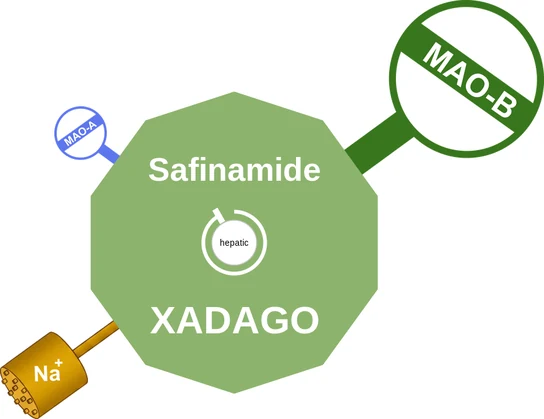 Safinamide ballicule: receptor binding, kinetics and half-life diagram