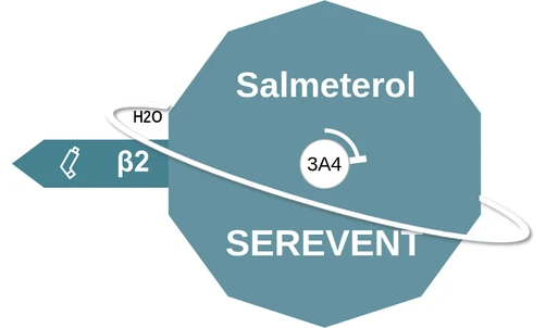 Salmeterol ballicule: receptor binding, kinetics and half-life diagram