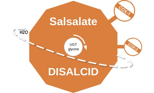 Salsalate ballicule: receptor binding, kinetics and half-life diagram