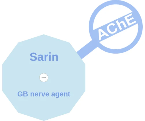 Sarin ballicule: receptor binding, kinetics and half-life diagram