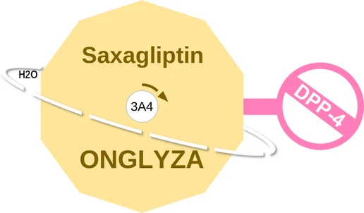 Saxagliptin ballicule — decagon mechanism diagram