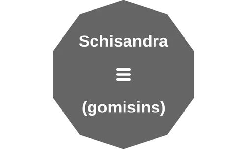 Schisandra ballicule: receptor binding, kinetics and half-life diagram