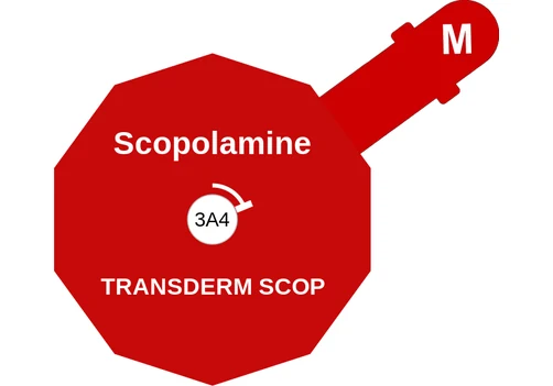 Scopolamine ballicule: receptor binding, kinetics and half-life diagram