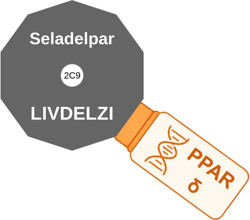 Seladelpar ballicule: receptor binding, kinetics and half-life diagram