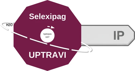 Selexipag ballicule: receptor binding, kinetics and half-life diagram