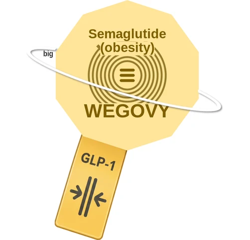 Semaglutide (obesity) ballicule — decagon diagram of its receptor and enzyme targets