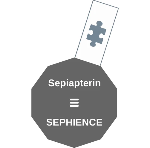 Sepiapterin ballicule: receptor binding, kinetics and half-life diagram