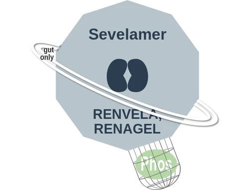 Sevelamer ballicule: receptor binding, kinetics and half-life diagram
