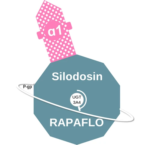 Silodosin ballicule — decagon mechanism diagram