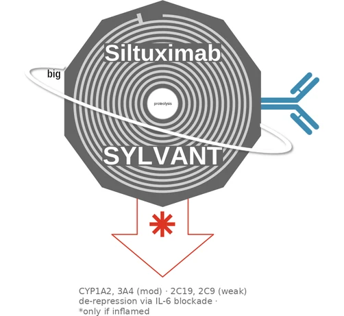 Siltuximab ballicule — decagon mechanism diagram