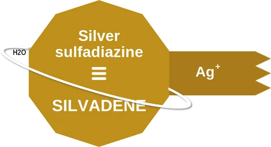 Silver sulfadiazine ballicule — decagon mechanism diagram