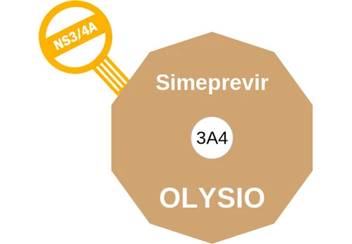 Simeprevir ballicule: receptor binding, kinetics and half-life diagram
