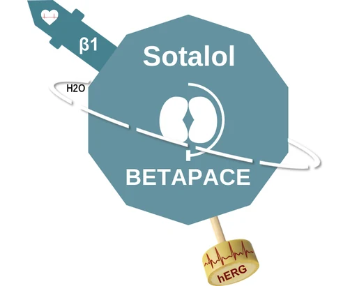 Sotalol ballicule — decagon mechanism diagram