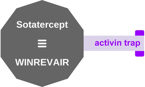Sotatercept ballicule: receptor binding, kinetics and half-life diagram