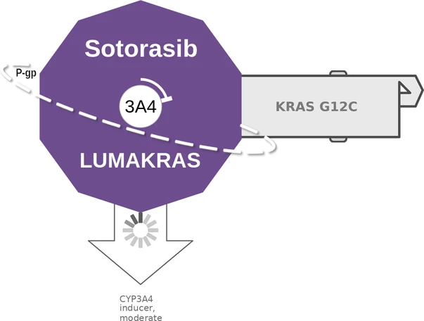 Sotorasib ballicule — decagon mechanism diagram