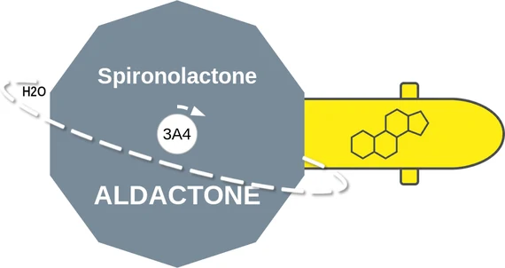Spironolactone ballicule — decagon mechanism diagram