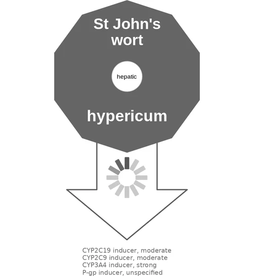 St John's wort ballicule — decagon mechanism diagram