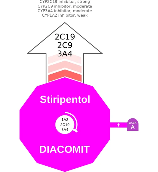 Stiripentol ballicule — decagon mechanism diagram
