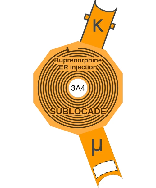Buprenorphine ER injection ballicule — decagon diagram of its receptor and enzyme targets