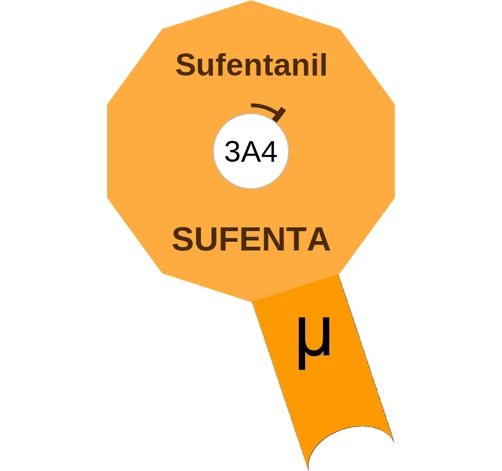 Sufentanil ballicule: receptor binding, kinetics and half-life diagram