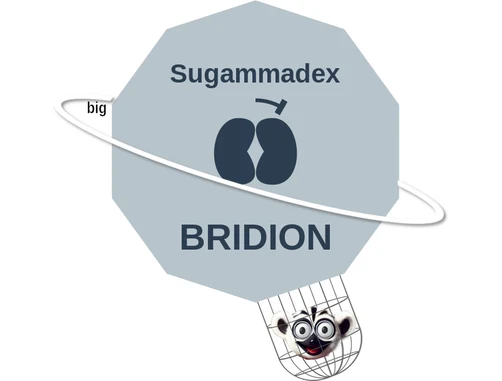 Sugammadex ballicule: receptor binding, kinetics and half-life diagram