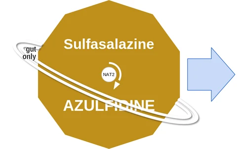 Sulfasalazine ballicule — decagon mechanism diagram