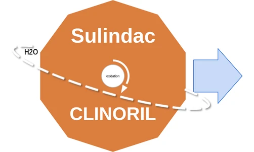 Sulindac ballicule — decagon mechanism diagram