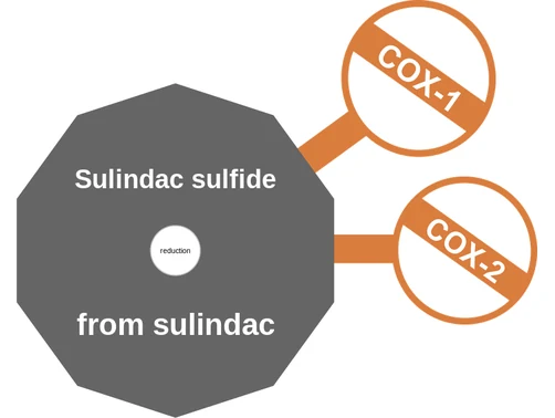 Sulindac sulfide ballicule — decagon mechanism diagram