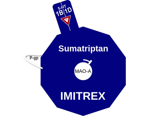 Sumatriptan ballicule: receptor binding, kinetics and half-life diagram