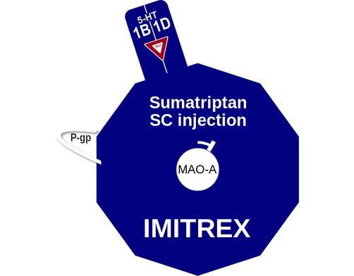 Sumatriptan SC injection ballicule: receptor binding, kinetics and half-life diagram