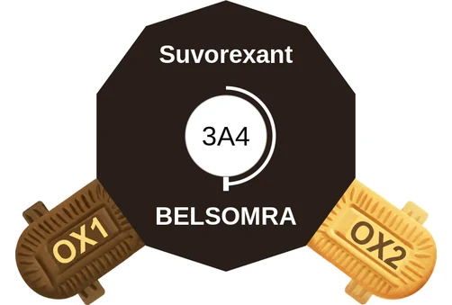 Suvorexant ballicule — decagon mechanism diagram