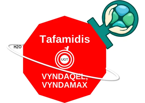 Tafamidis ballicule — decagon mechanism diagram