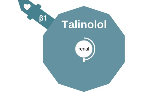 Talinolol ballicule: receptor binding, kinetics and half-life diagram