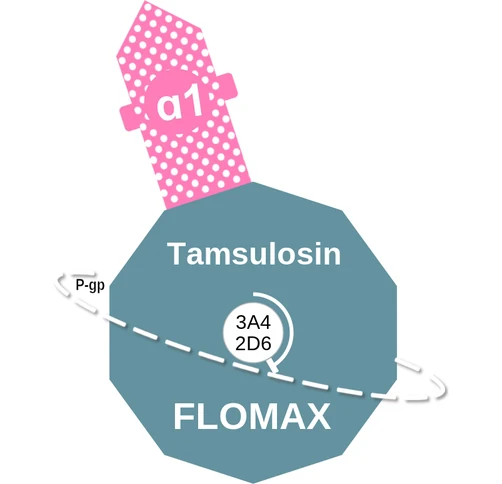 Tamsulosin ballicule: receptor binding, kinetics and half-life diagram