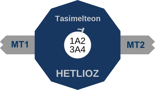 Tasimelteon ballicule — decagon mechanism diagram