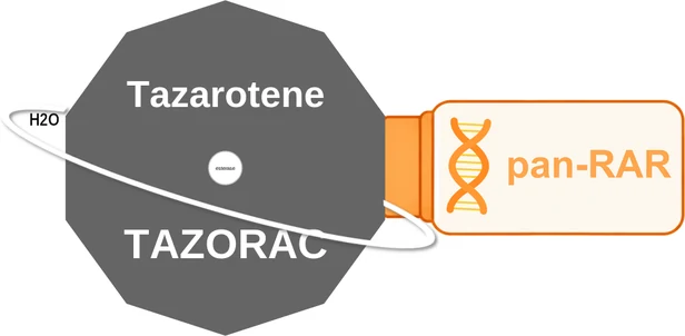 Tazarotene ballicule — decagon mechanism diagram