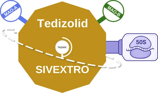 Tedizolid ballicule: receptor binding, kinetics and half-life diagram