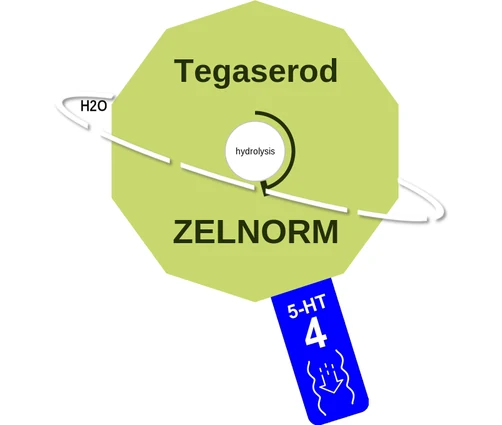 Tegaserod ballicule — decagon mechanism diagram