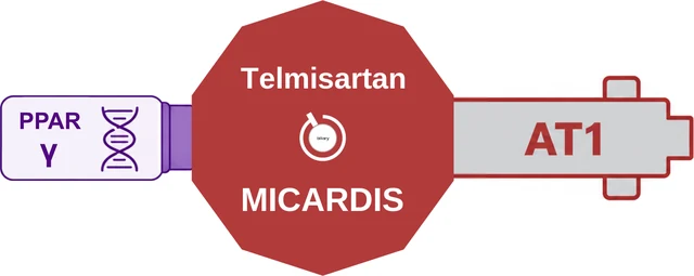 Telmisartan ballicule: receptor binding, kinetics and half-life diagram