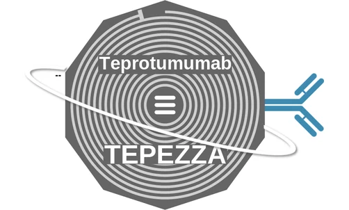 Teprotumumab ballicule: receptor binding, kinetics and half-life diagram