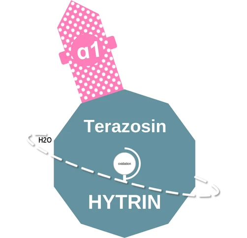Terazosin ballicule — decagon mechanism diagram