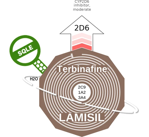 Terbinafine ballicule: receptor binding, kinetics and half-life diagram