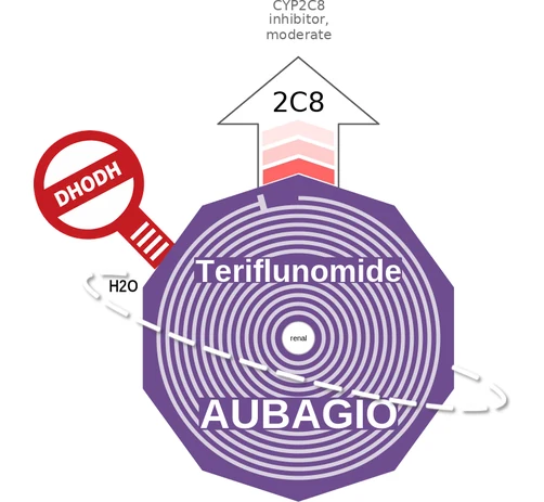 Teriflunomide ballicule — decagon mechanism diagram